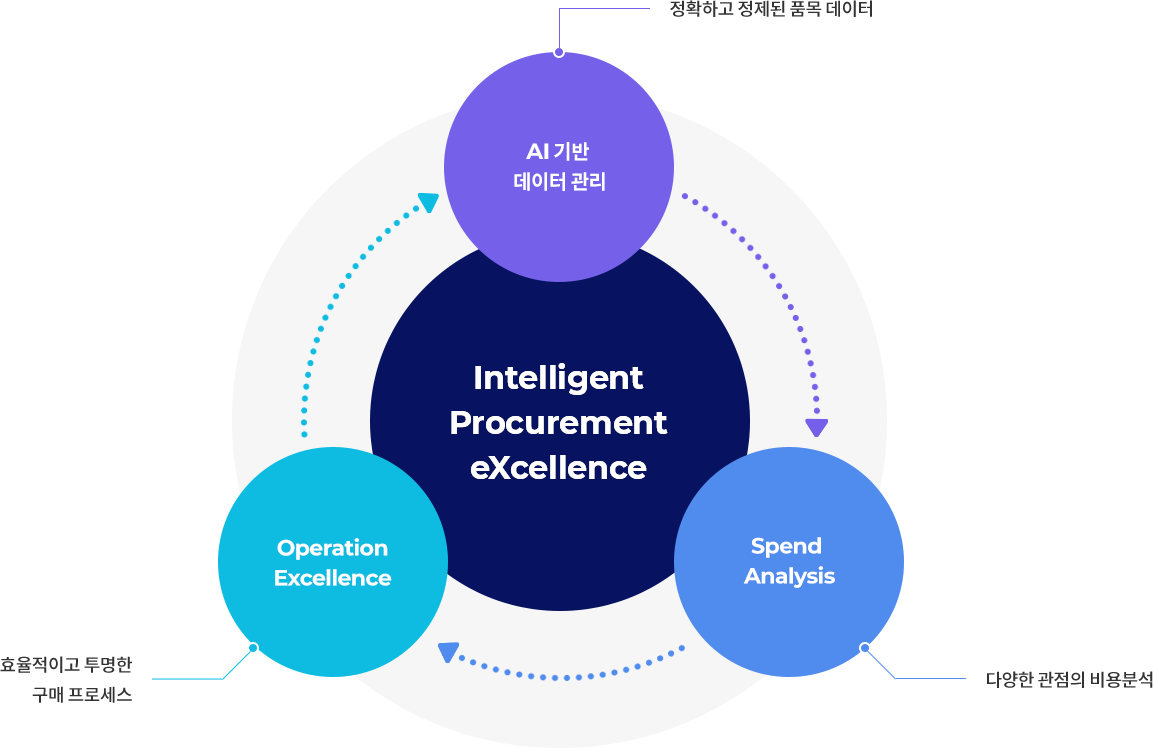Intelligent Procurement eXcellence - AI 기반 데이터 관리, Operation Excellence, Spend Analysis